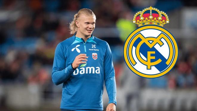 张育成多功能守位价值